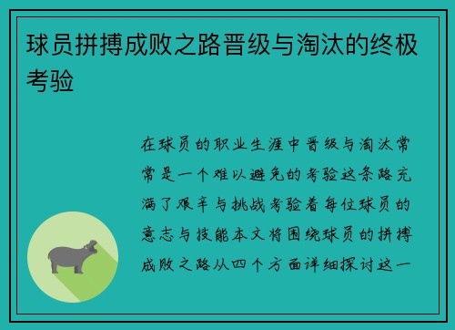 球员拼搏成败之路晋级与淘汰的终极考验